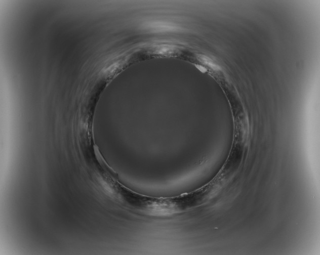 X0000087580415200704271308