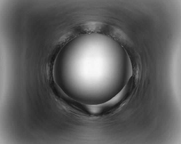 X0000087580416200704271308
