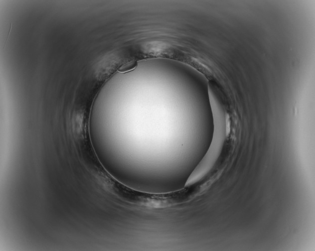 X0000087580420200704271308