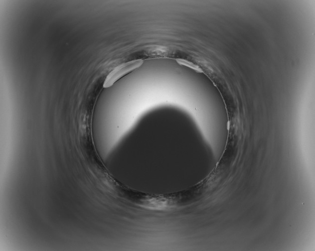 X0000087580423200704271308