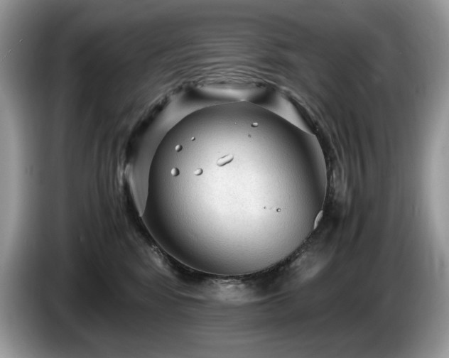 X0000087580424200704271308