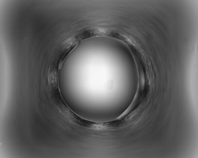 X0000087580425200704271308