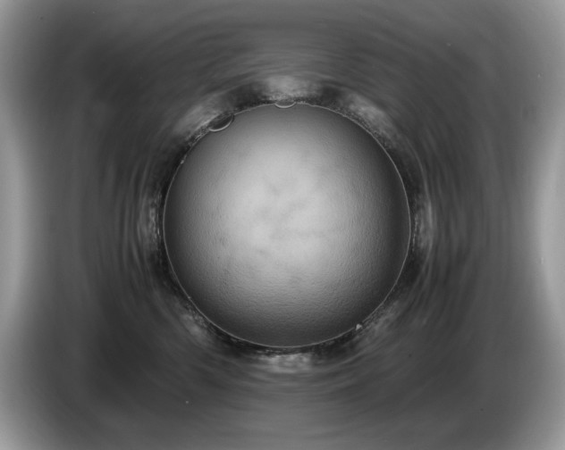 X0000087580426200704271308