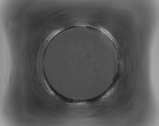 X0000087580433200704271308