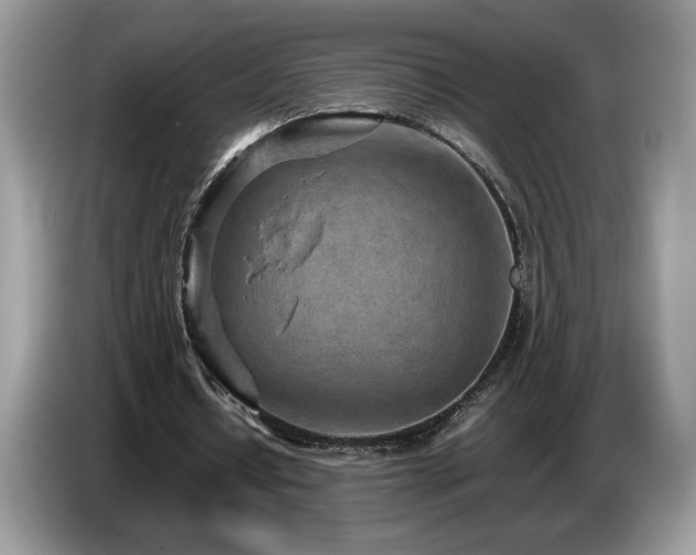 X0000087580434200704271308