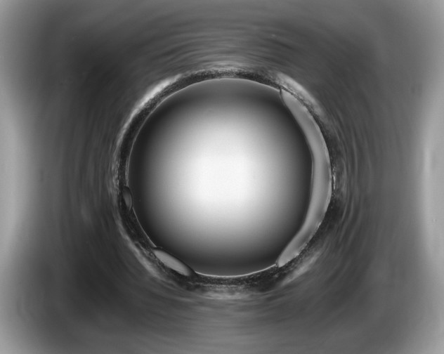 X0000087580436200704271308