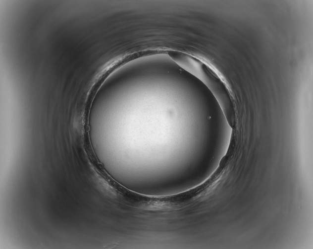 X0000087580437200704271308