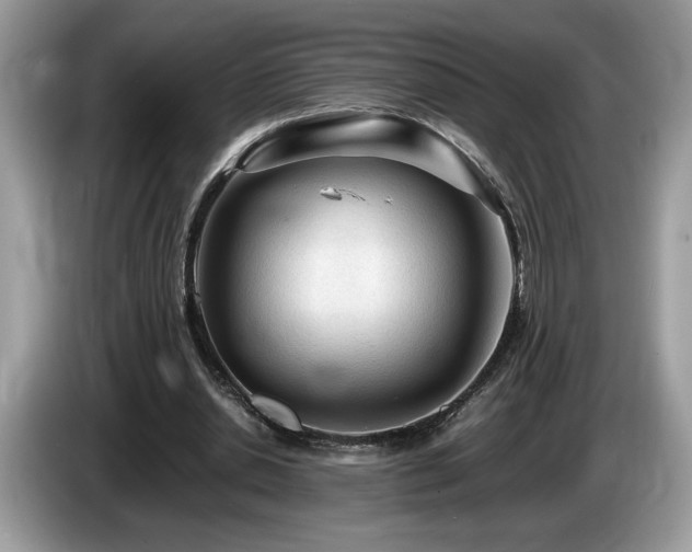 X0000087580438200704271308