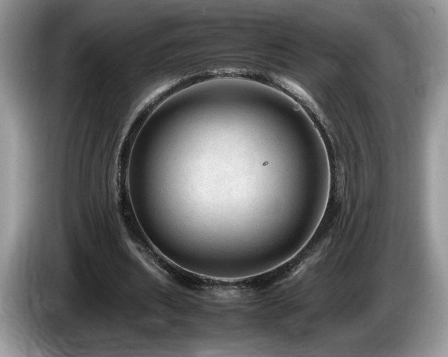 X0000087580439200704271308