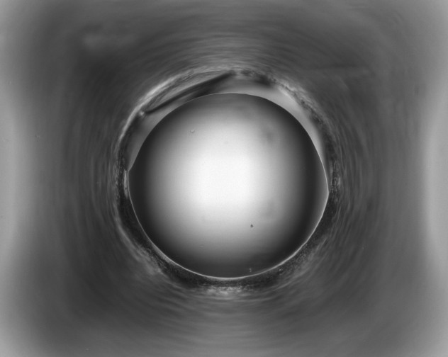 X0000087580440200704271308