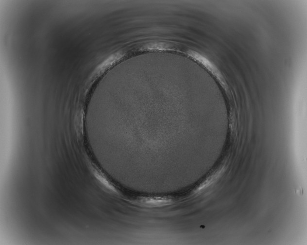 X0000087580445200704271308