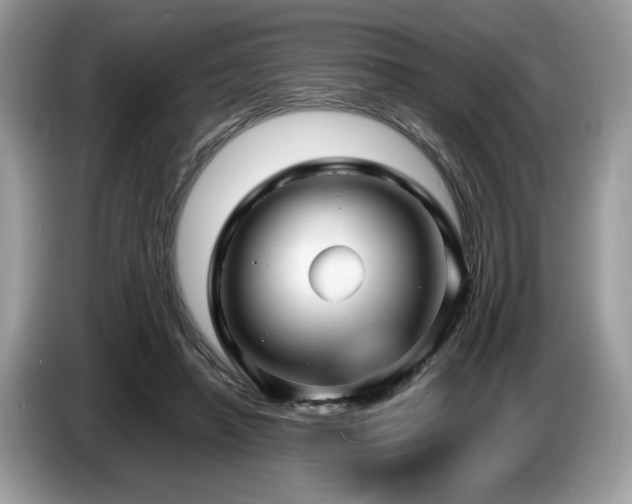X0000087580450200704271308