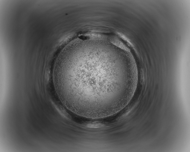 X0000087580451200704271308