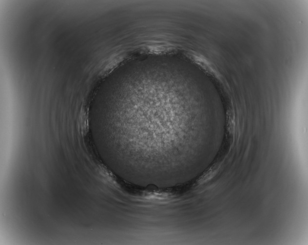 X0000087580471200704271308