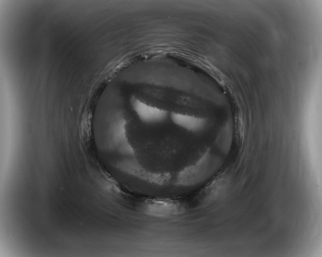 X0000087580475200704271308