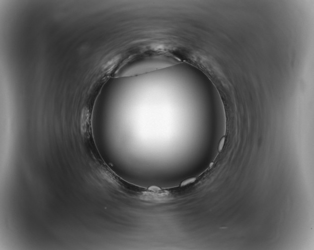 X0000087580480200704271308