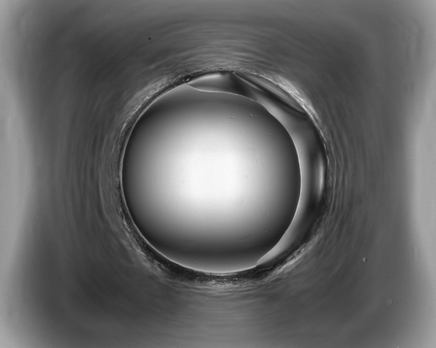 X0000087580481200704271308