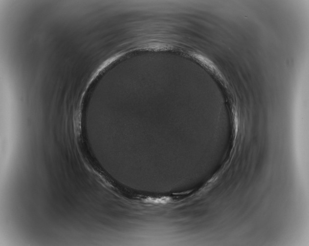X0000087580484200704271308