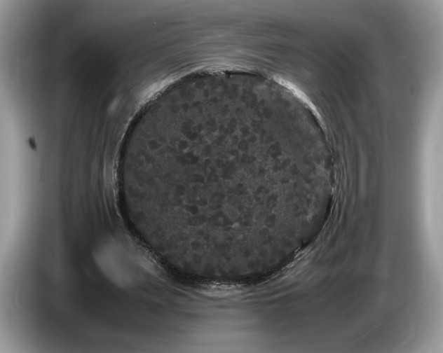 X0000087580487200704271308