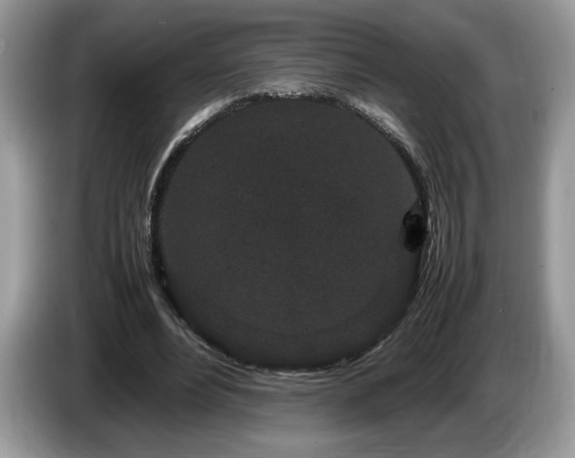 X0000087580488200704271308