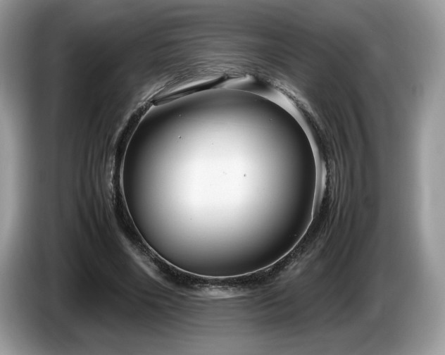 X0000087580490200704271308