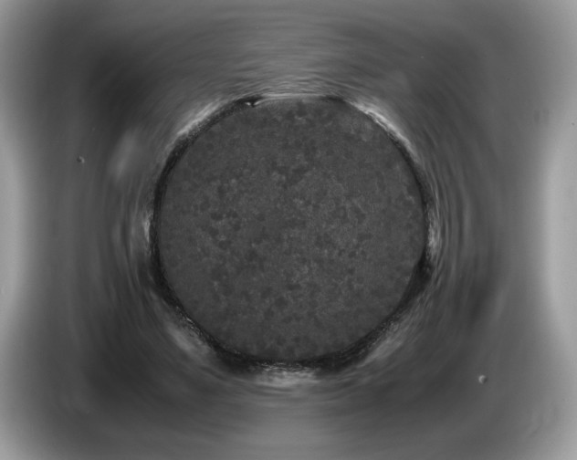 X0000087580491200704271308