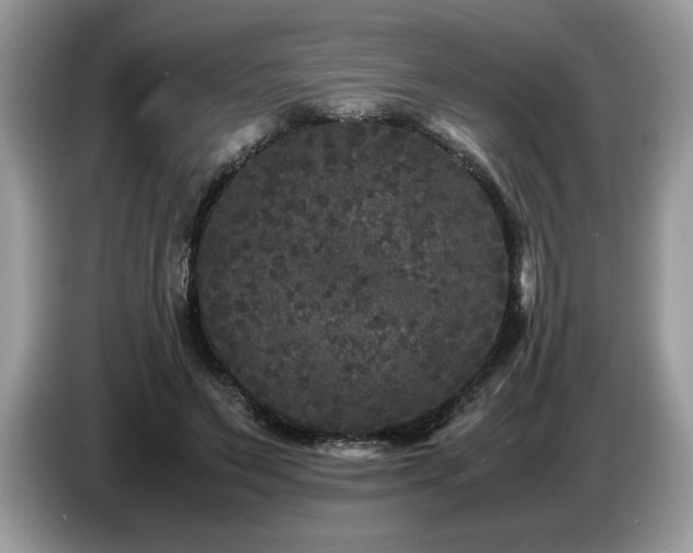 X0000087580495200704271307