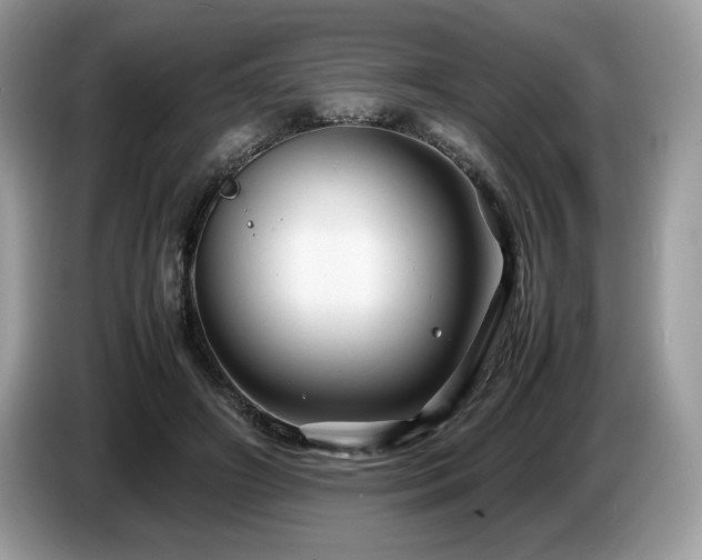 X0000087580498200704271307