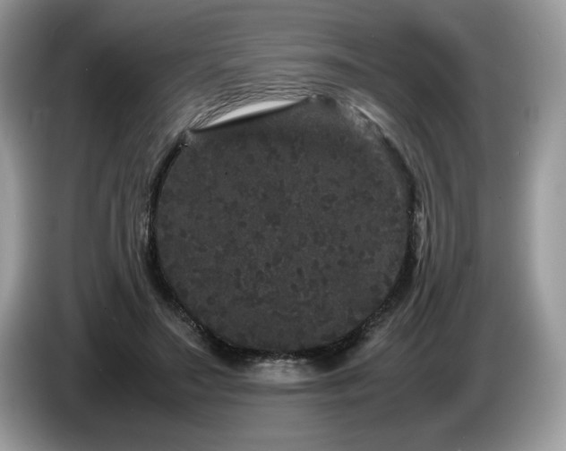 X0000087580499200704271307