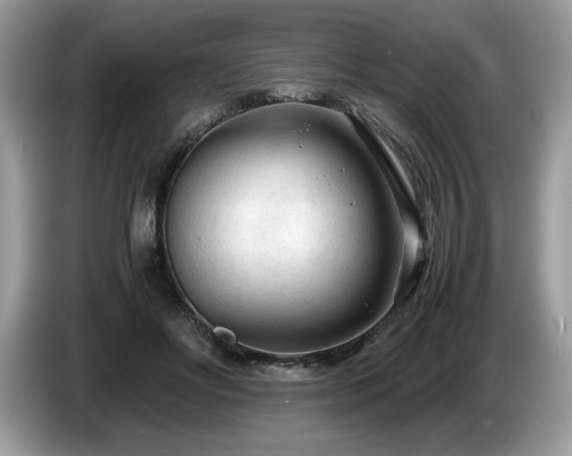 X0000087580502200704271307