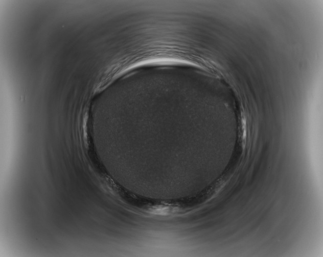 X0000087580504200704271307