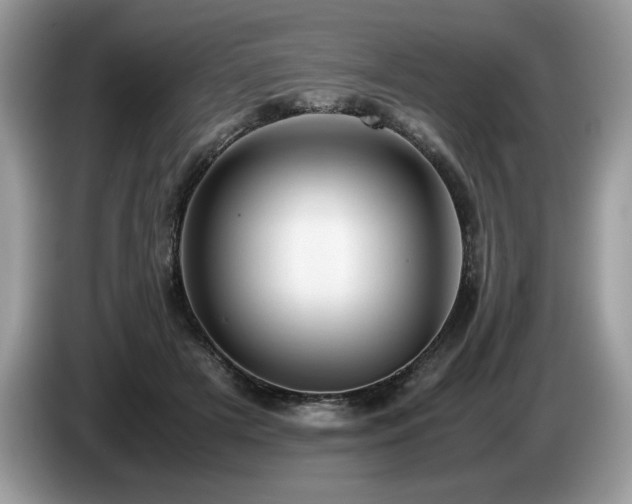 X0000087580505200704271307