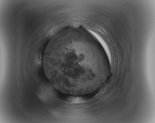 X0000087580507200704271307
