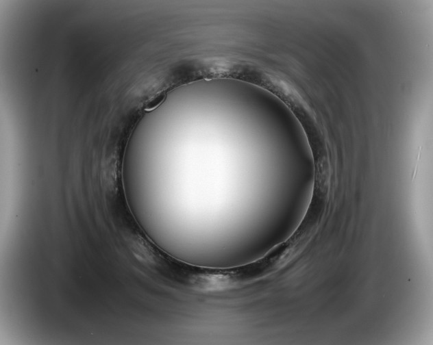 X0000087580509200704271307