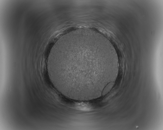 X0000087580511200704271307