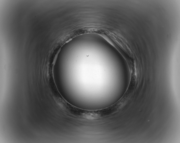 X0000087580512200704271307