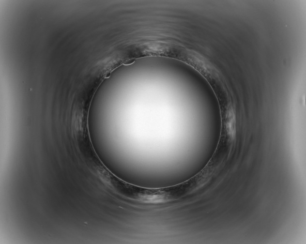 X0000087580514200704271307