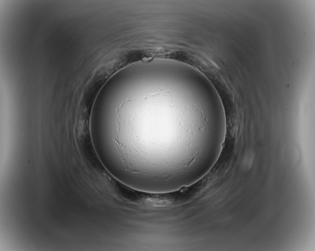 X0000087580515200704271307