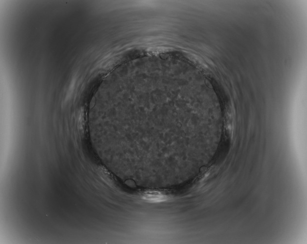 X0000087580519200704271307