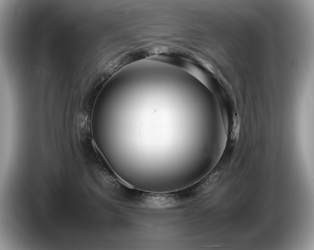 X0000087580521200704271307