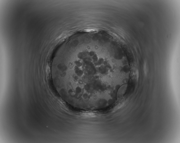 X0000087580523200704271307