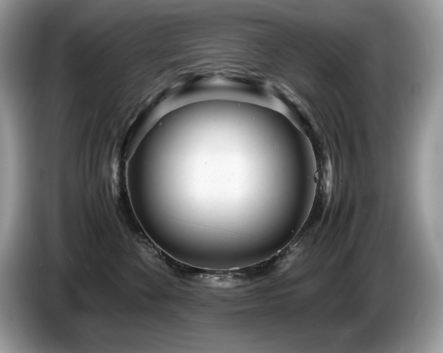 X0000087580524200704271307