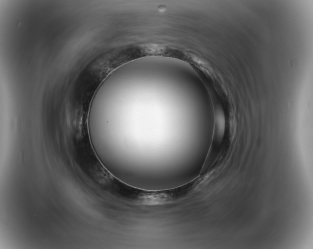 X0000087580525200704271307