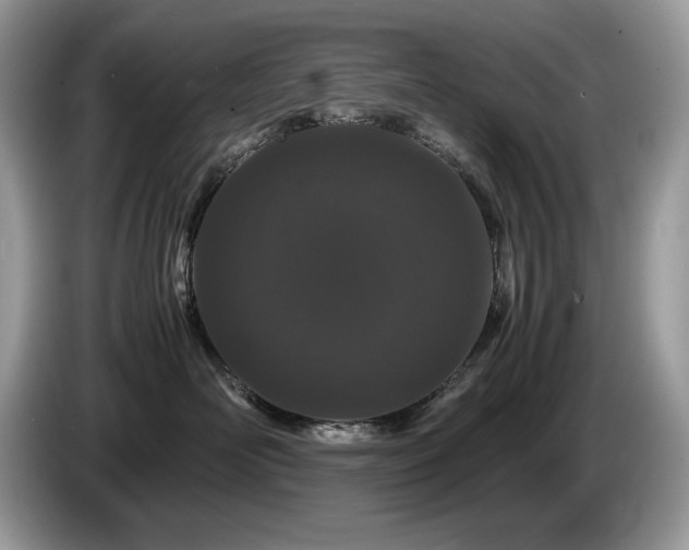X0000087580526200704271307