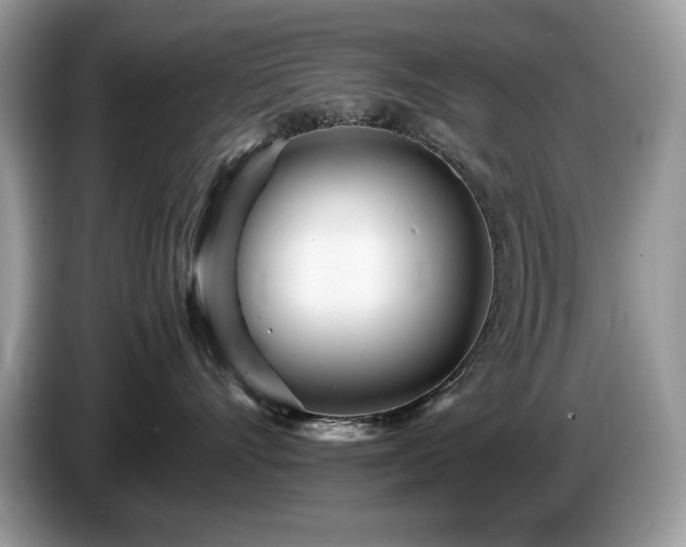 X0000087580528200704271307