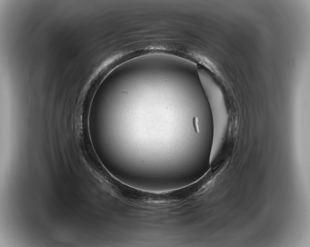 X0000087580531200704271307