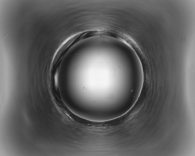 X0000087580532200704271307