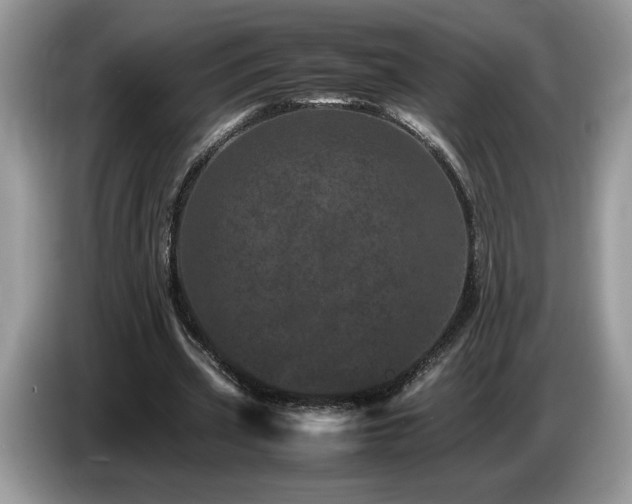X0000087580533200704271307