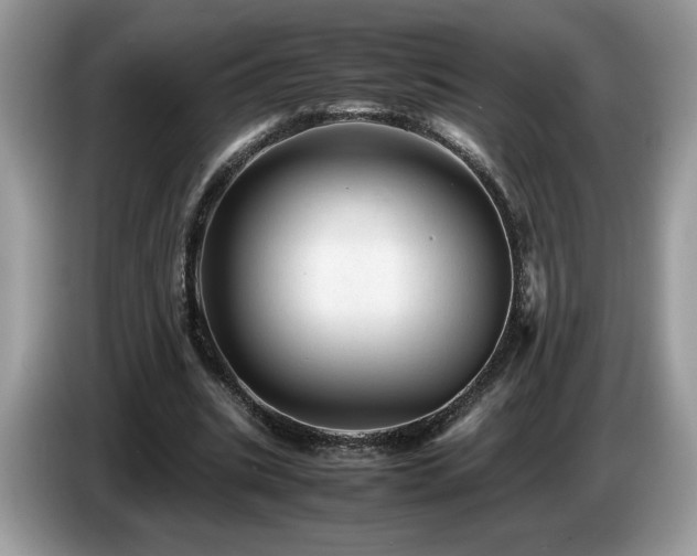 X0000087580535200704271307