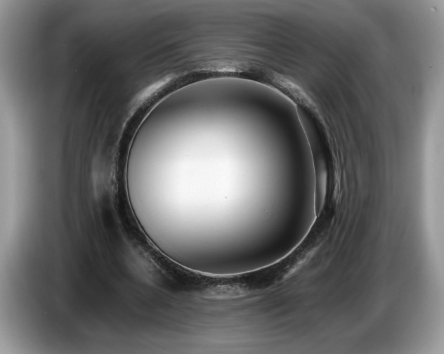X0000087580536200704271307